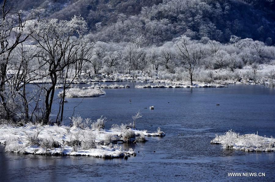 CHINA-HUBEI-SHENLONGJIA-WETLANDS (CN)