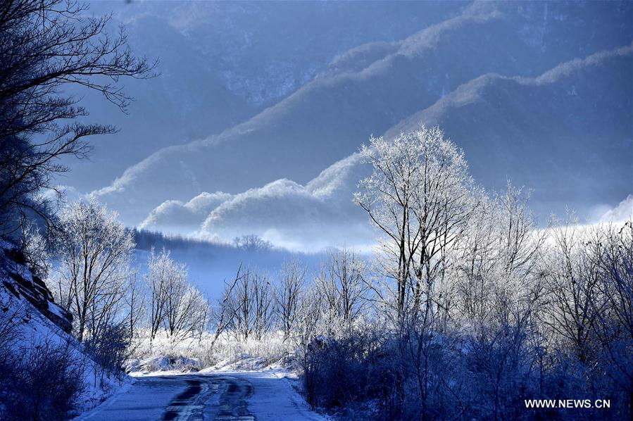 CHINA-HUBEI-SHENLONGJIA-WETLANDS (CN)