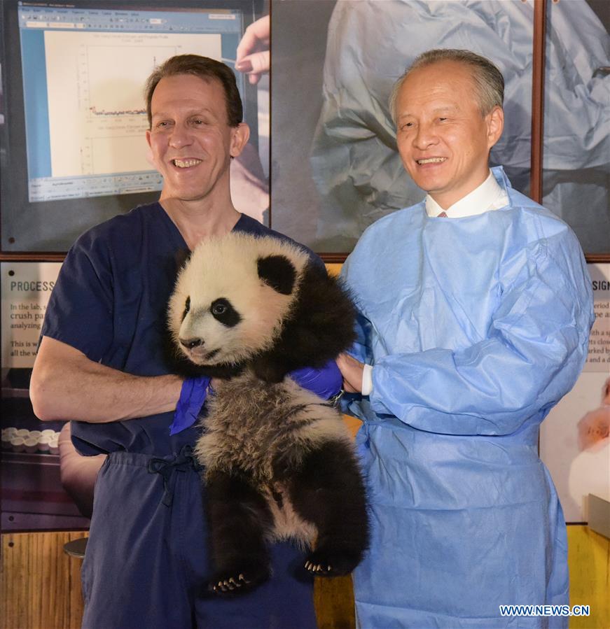 Chinese Ambassador to the United States Cui Tiankai (R) holds Panda 'Bei Bei' during a visit at U.S. National Zoological Park, in Washington D.C., the United States, on Jan. 7, 2016.