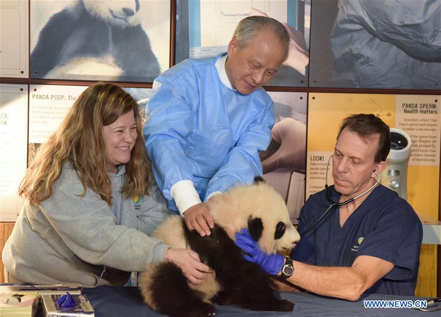 Chinese Ambassador to the United States Cui Tiankai (C) holds Panda 'Bei Bei' during a visit at U.S. National Zoological Park, in Washington D.C., the United States, on Jan. 7, 2016. 