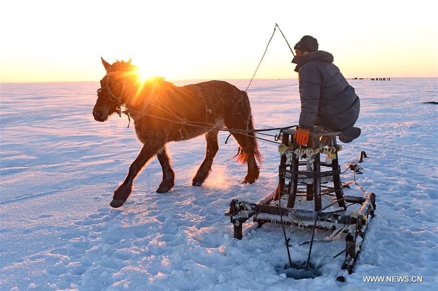 Chagan Lake, which is known for traditional winter fishing that dates back to prehistorical times, is the only place that saves the oldest Mongolian fishing method. 