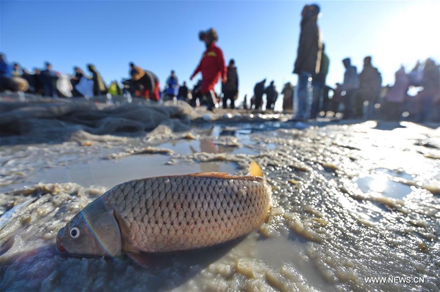 Chagan Lake, which is known for traditional winter fishing that dates back to prehistorical times, is the only place that saves the oldest Mongolian fishing method. 