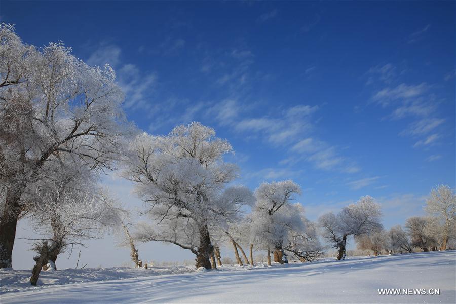 #CHINA-XINJIANG-ALTAY-RIME(CN)