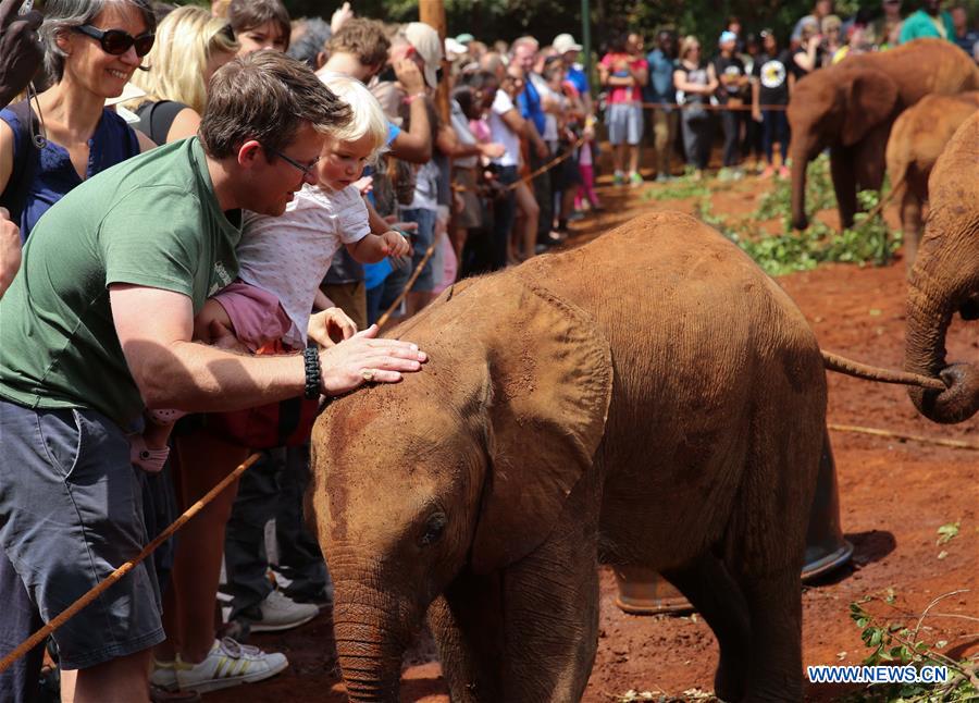 Tourists interact with an orphaned elephant cub at the Elephant Orphanage in Nairobi, Kenya, Jan. 9, 2016.