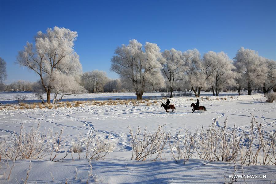 Photo taken on Jan. 11, 2016 shows rime scenery beside Kiran River, Altay, northwest China's Xinjiang Uygur Autonomous Region. 