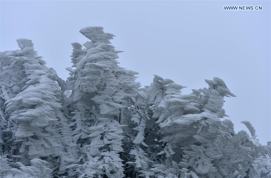 #CHINA-HUBEI-XUAN'EN-ICE SCULPTURE(CN)