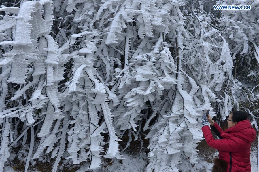 #CHINA-HUBEI-XUAN'EN-ICE SCULPTURE(CN)