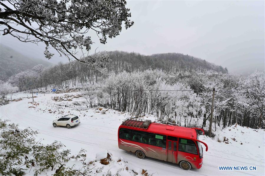 Photo taken on Jan. 13, 2016 shows the rime scenery at Longping Township of Baokang County in Xiangyang City, central China's Hubei Province. 