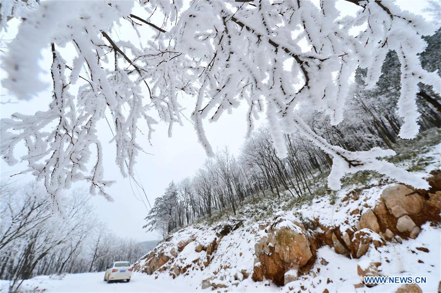 Photo taken on Jan. 13, 2016 shows the rime scenery at Longping Township of Baokang County in Xiangyang City, central China's Hubei Province.