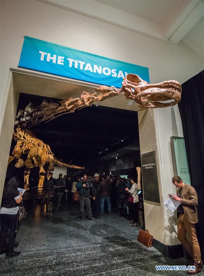 People visit the 'Titanosaur' skeleton exibition in the American Museum of Natural History in New York, the United States, Jan. 14, 2016. 