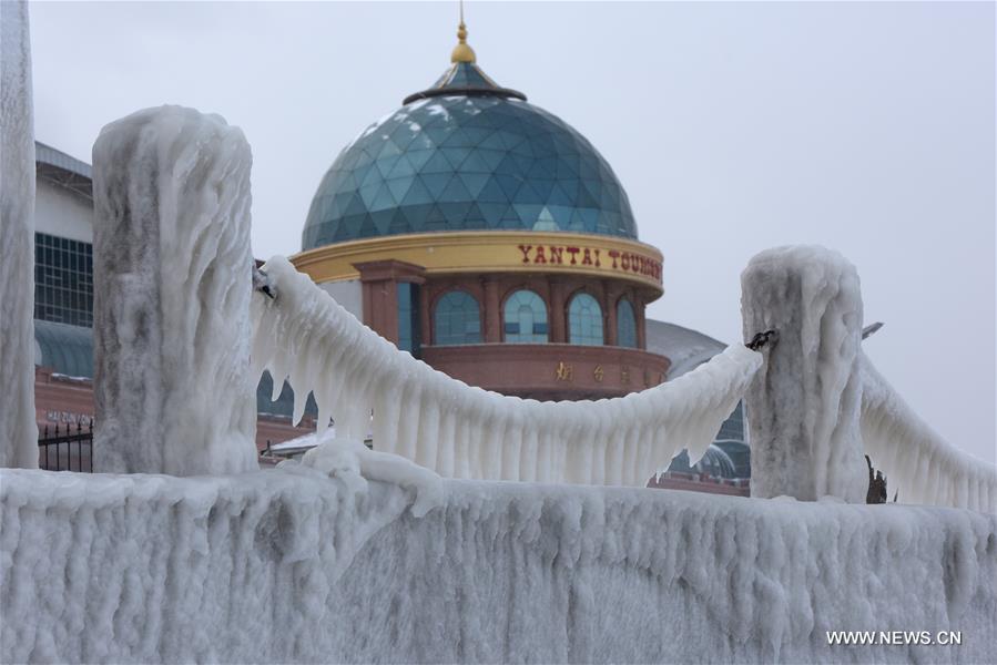 A cold front has transformed the coastal city to an ice world. 