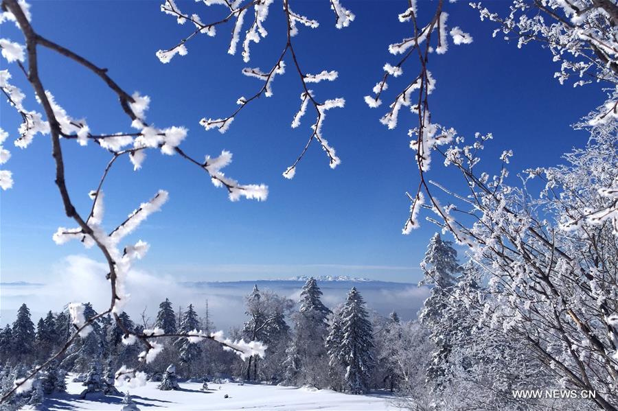 #CHINA-JILIN-YANBIAN-RIME SCENERY (CN)