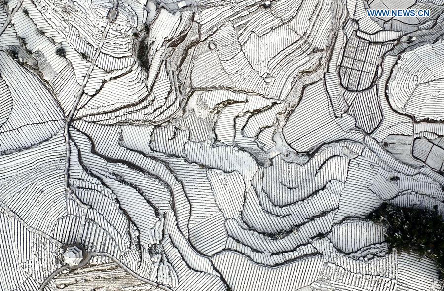 An aerial photo taken on Jan. 23, 2016 shows a tea garden covered by snow in Wujiatai Village of Xuan'en County, central China's Hubei Province. 