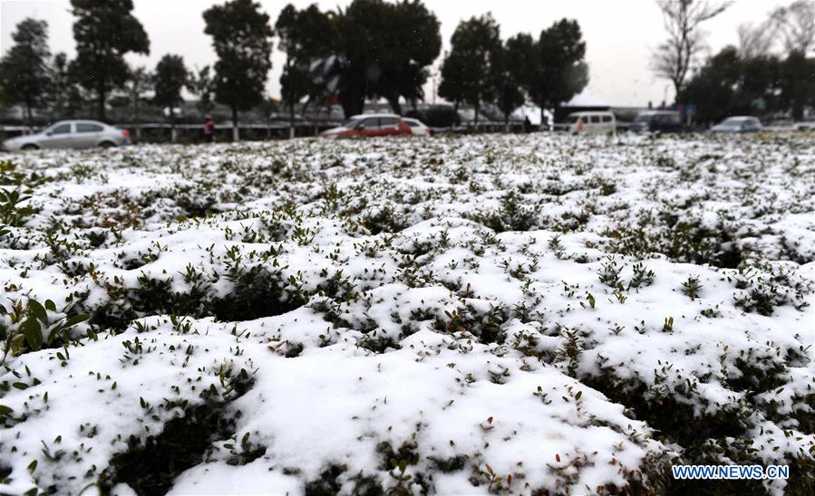 CHINA-KUNMING-SNOWFALL (CN) 