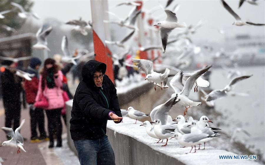 CHINA-KUNMING-SNOWFALL (CN) 