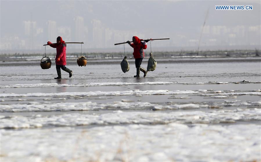 Local fishermen walk on sea covered by ice in Lianyungang, east China's Jiangsu Province, Jan. 19, 2016. 