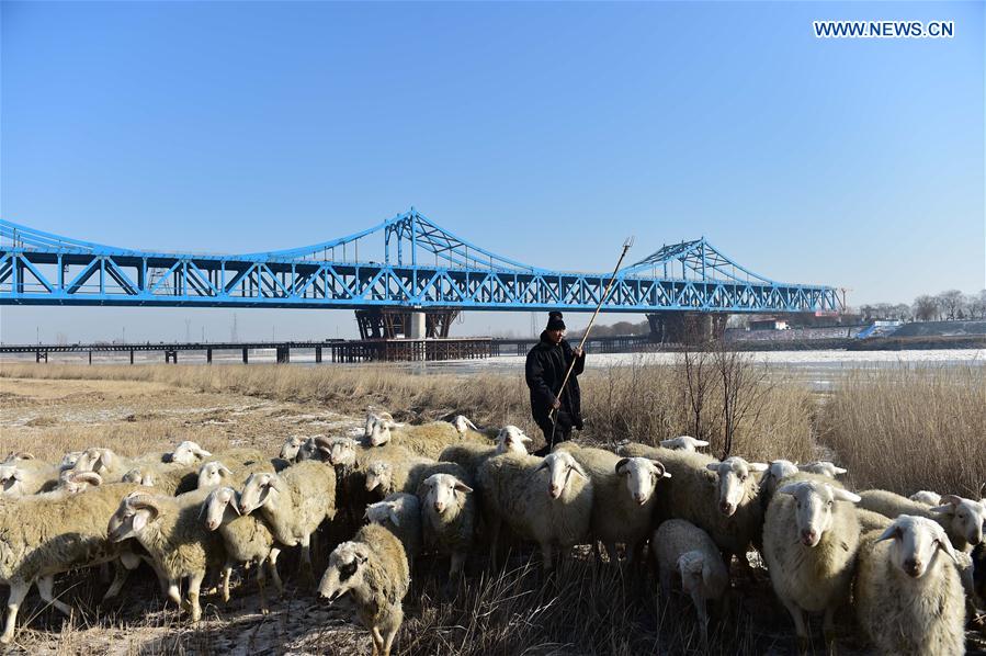 CHINA-JINAN-RAILWAY AND HIGHWAY COMBINED BRIDGE-CONSTRUCTION (CN)