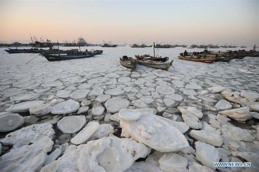 YANTAI, Jan. 26, 2016 (Xinhua) -- Photo taken on Jan. 26, 2016 shows fishing boats trapped in sea ice in a port at Xikou Village in Yantai City, east China's Shandong Province. Under the influence of a strong cold wave, sea ice appeared around the Yantai sea area and affected the maritime transportation. (Xinhua/Chu Yang) 