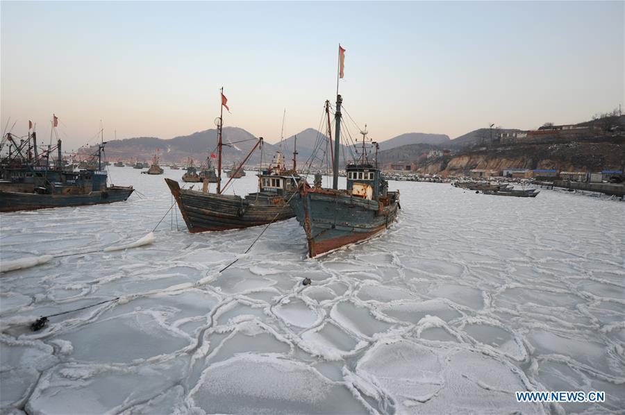 YANTAI, Jan. 26, 2016 (Xinhua) -- Photo taken on Jan. 26, 2016 shows fishing boats trapped in sea ice in a port at Xikou Village in Yantai City, east China's Shandong Province. Under the influence of a strong cold wave, sea ice appeared around the Yantai sea area and affected the maritime transportation. (Xinhua/Chu Yang) 