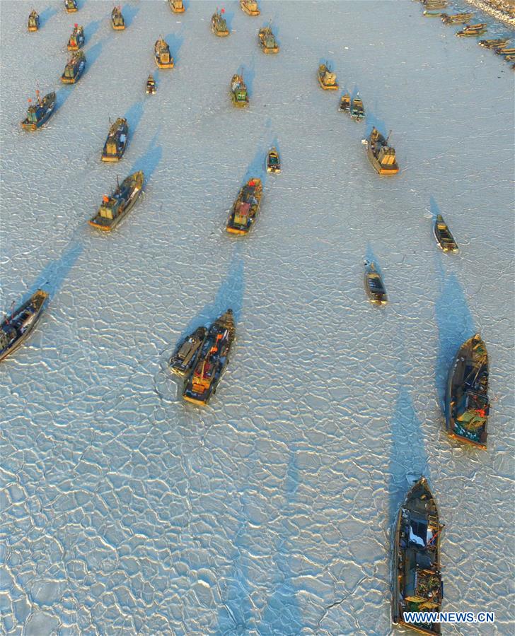 YANTAI, Jan. 26, 2016 (Xinhua) -- Photo taken with a drone on Jan. 26, 2016 shows fishing boats trapped in sea ice in a port at Xikou Village in Yantai City, east China's Shandong Province. Under the influence of a strong cold wave, sea ice appeared around the Yantai sea area and affected the maritime transportation. (Xinhua/Chu Yang) 