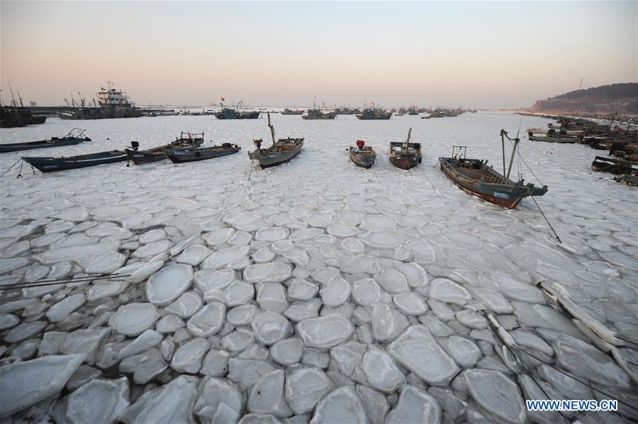 YANTAI, Jan. 26, 2016 (Xinhua) -- Photo taken on Jan. 26, 2016 shows fishing boats trapped in sea ice in a port at Xikou Village in Yantai City, east China's Shandong Province. Under the influence of a strong cold wave, sea ice appeared around the Yantai sea area and affected the maritime transportation. (Xinhua/Chu Yang) 