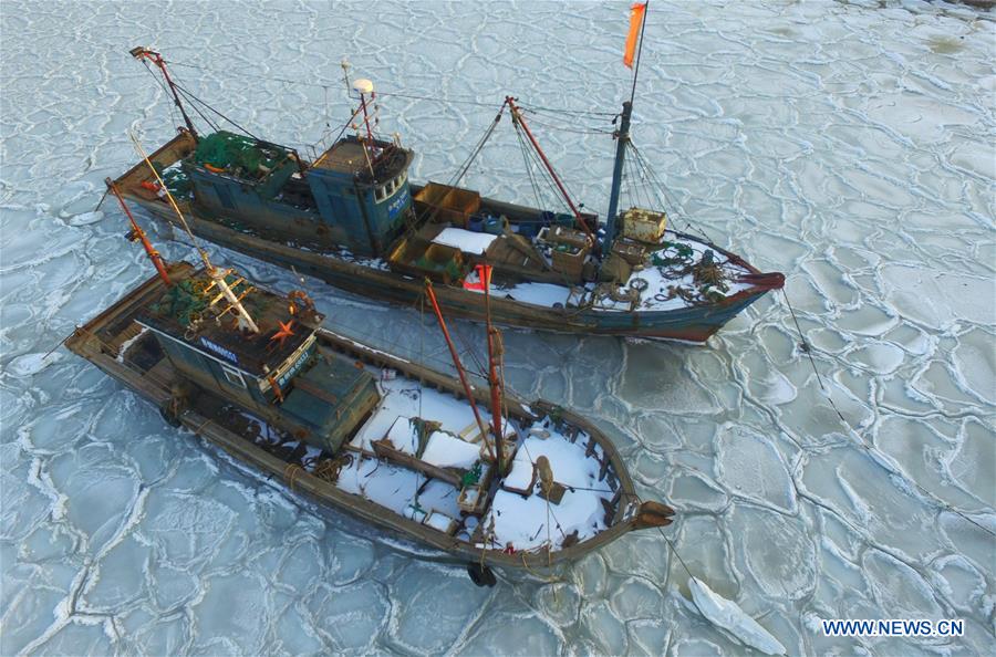 YANTAI, Jan. 26, 2016 (Xinhua) -- Photo taken on Jan. 26, 2016 shows fishing boats trapped in sea ice in a port at Xikou Village in Yantai City, east China's Shandong Province. Under the influence of a strong cold wave, sea ice appeared around the Yantai sea area and affected the maritime transportation. (Xinhua/Chu Yang) 