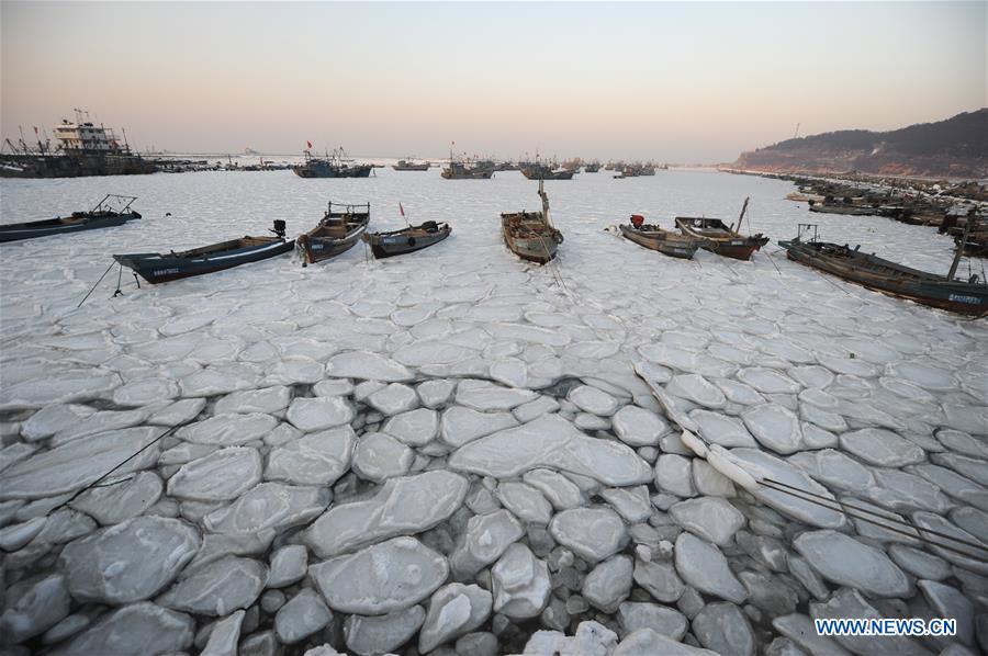 YANTAI, Jan. 26, 2016 (Xinhua) -- Photo taken on Jan. 26, 2016 shows fishing boats trapped in sea ice in a port at Xikou Village in Yantai City, east China's Shandong Province. Under the influence of a strong cold wave, sea ice appeared around the Yantai sea area and affected the maritime transportation. (Xinhua/Chu Yang) 