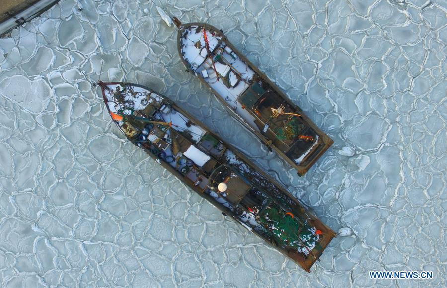 YANTAI, Jan. 26, 2016 (Xinhua) -- Photo taken on Jan. 26, 2016 shows fishing boats trapped in sea ice in a port at Xikou Village in Yantai City, east China's Shandong Province. Under the influence of a strong cold wave, sea ice appeared around the Yantai sea area and affected the maritime transportation. (Xinhua/Chu Yang) 