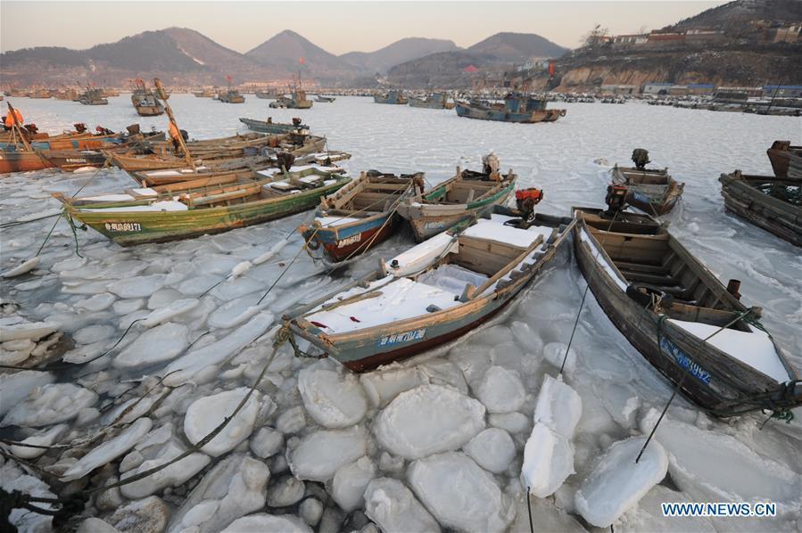 YANTAI, Jan. 26, 2016 (Xinhua) -- Photo taken on Jan. 26, 2016 shows fishing boats trapped in sea ice in a port at Xikou Village in Yantai City, east China's Shandong Province. Under the influence of a strong cold wave, sea ice appeared around the Yantai sea area and affected the maritime transportation. (Xinhua/Chu Yang) 