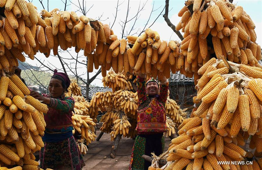 CHINA-YUNNAN-YI ETHNIC GROUP-DAILY LIFE (CN)