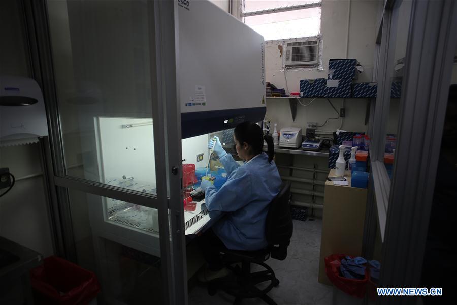  A researcher in Gorgas Commemorative Institute of Health Studies (ICGES), responsible for diagnostic Zika cases in Panama, makes tests at a laboratory of the institute, in Panama City, capital of Panama, on Feb. 3, 2016. 