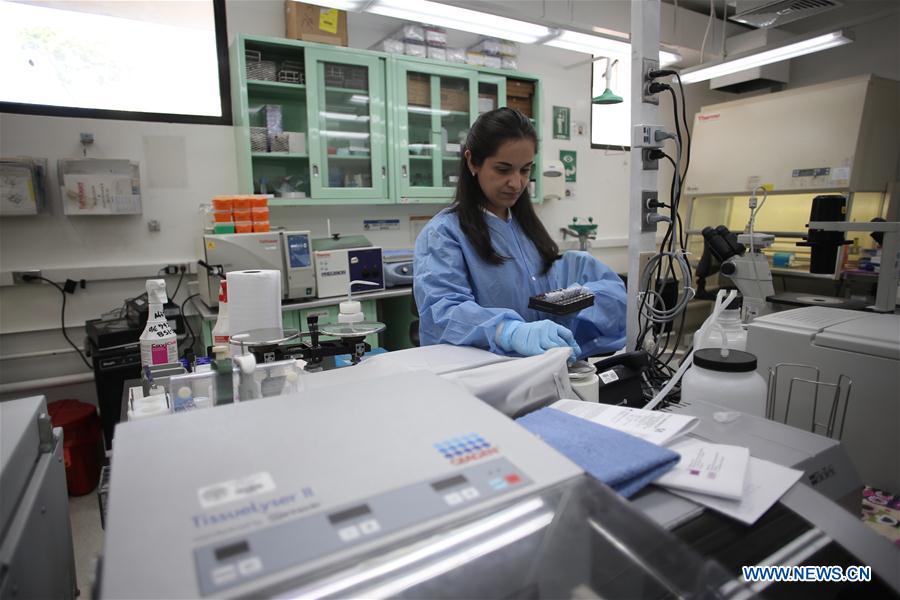  A researcher in Gorgas Commemorative Institute of Health Studies (ICGES), responsible for diagnostic Zika cases in Panama, makes tests at a laboratory of the institute, in Panama City, capital of Panama, on Feb. 3, 2016. 