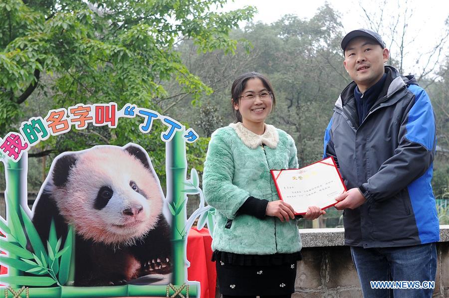 CHINA-CHONGQING-PANDA-NAMING (CN)