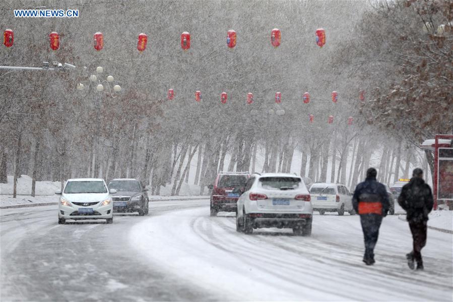 #CHINA-XINJIANG-ALTAY-SNOWFALL (CN)