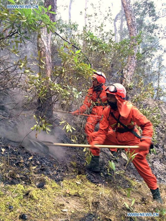 Firefighters try to extinguish a forest fire in Liangmei Village of Shangri-la in Tibetan Autonomous Prefecture of Deqen, southwest China's Yunnan Province, Feb. 15, 2016. 