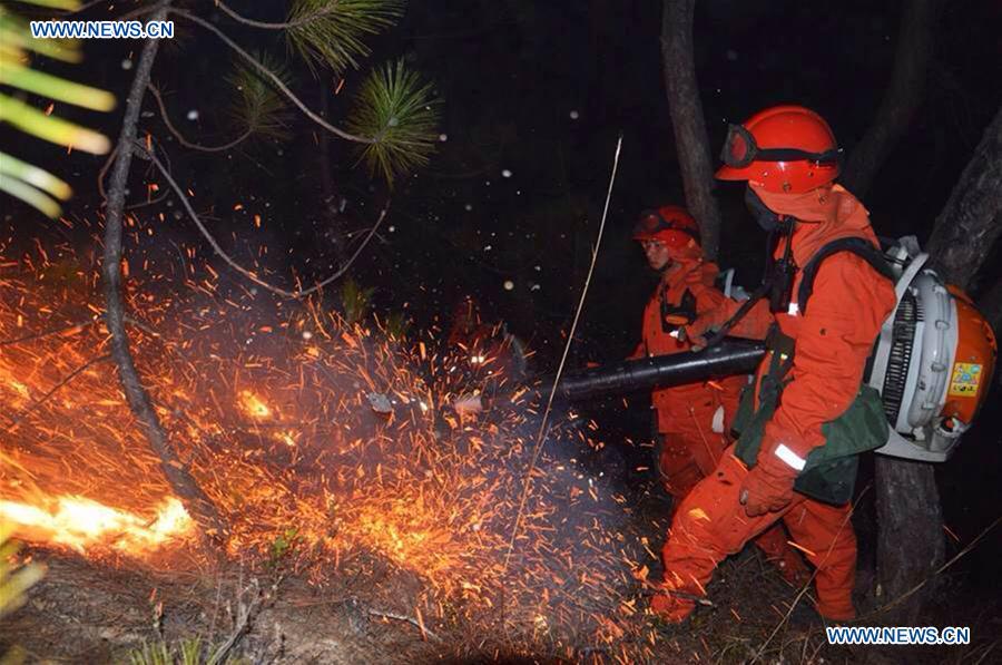 Firefighters try to extinguish a forest fire in Liangmei Village of Shangri-la in Tibetan Autonomous Prefecture of Deqen, southwest China's Yunnan Province, Feb. 15, 2016. 