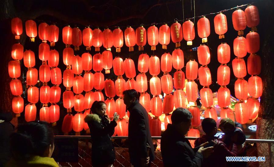 CHINA-JINAN-COLORED LANTERNS (CN)