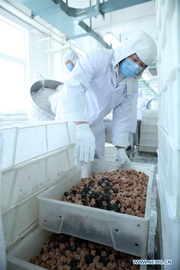 Cooks make Yuanxiao, glutinous rice flour dumpling with sweetened stuffing, at a workshop of Daoxiangcun, a time-honored foodstuff company, in Beijing, capital of China, Feb. 18, 2016.