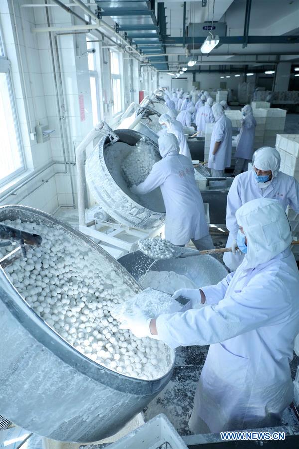 Cooks make Yuanxiao, glutinous rice flour dumpling with sweetened stuffing, at a workshop of Daoxiangcun, a time-honored foodstuff company, in Beijing, capital of China, Feb. 18, 2016.