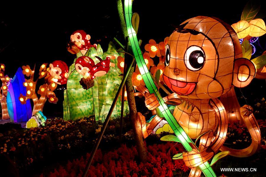 The Fo Guang Shan lantern show is held to greet the traditional Chinese Lantern Festival which falls on Feb. 22 this year.