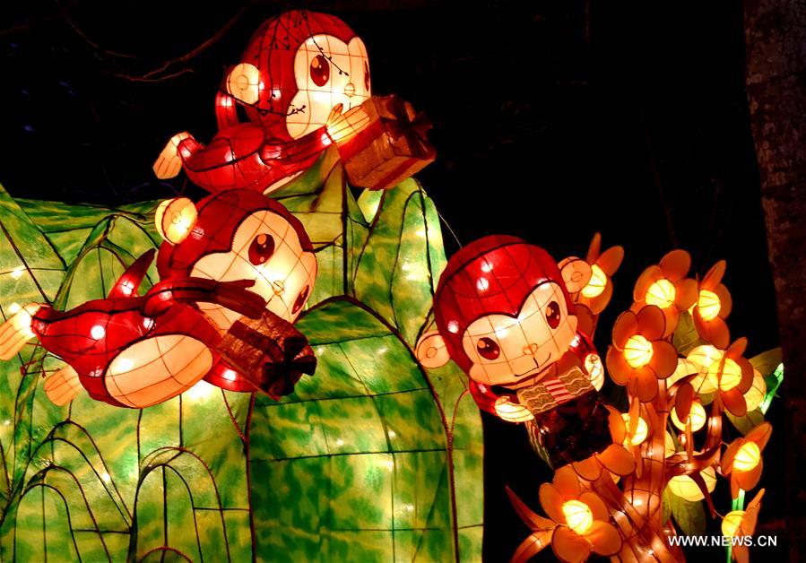 The Fo Guang Shan lantern show is held to greet the traditional Chinese Lantern Festival which falls on Feb. 22 this year.