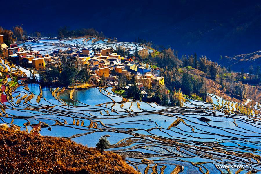 Photo taken on Feb. 20, 2016 shows rice terrace scenery in Yuanyang County, Honghe Hani and Yi Autonomous Prefecture in southwest China's Yunnan Province