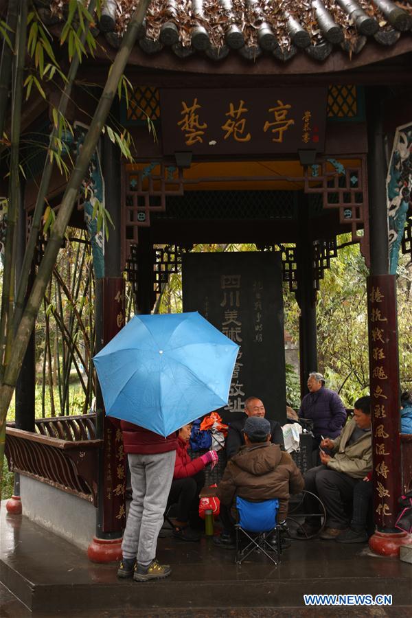 People play cards at the Renmin Park in light rain in Chengdu, capital of southwest China's Sichuan Province, Feb. 23, 2016. Chengdu received a light rain on Tuesday. 