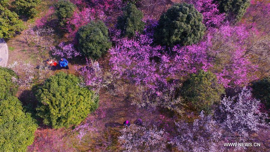 #CHINA-YANGZHOU-SCENERY(CN)