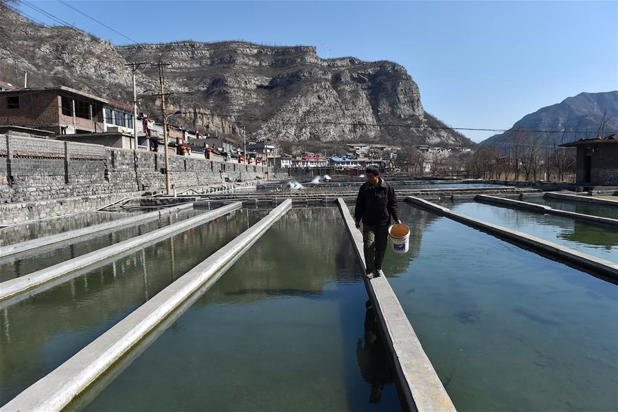 CHINA-TAIYUAN-FISH FARMING (CN)