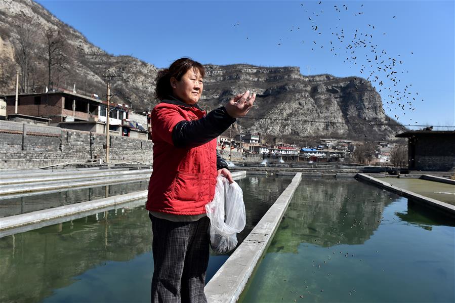 CHINA-TAIYUAN-FISH FARMING (CN)