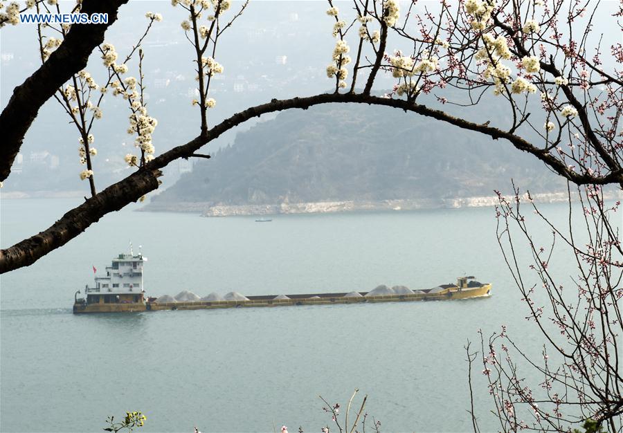 #CHINA-HUBEI-THREE GORGES-SCENERY (CN)