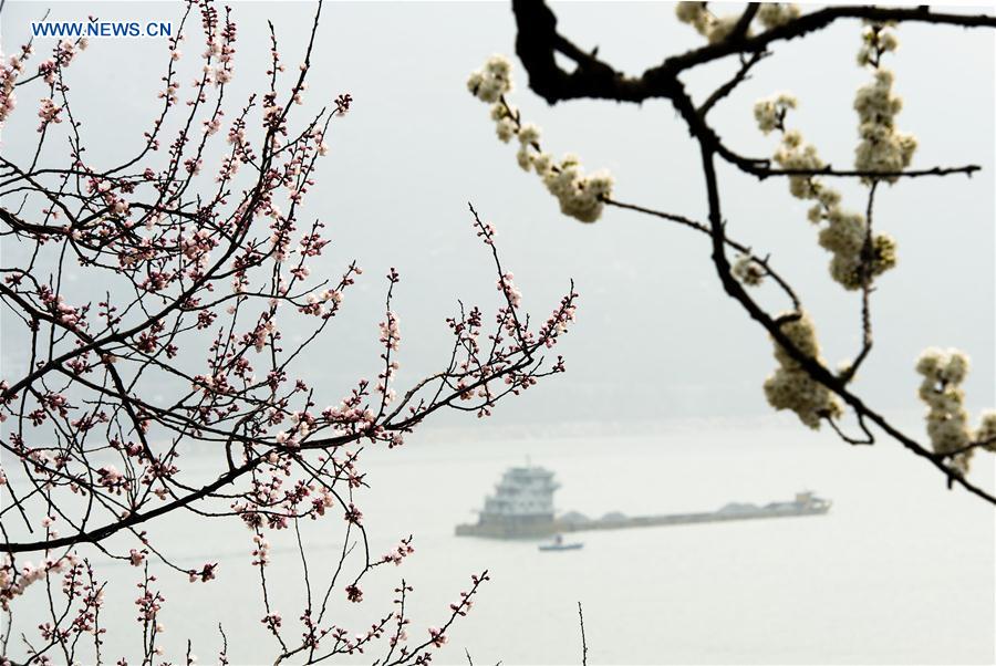 #CHINA-HUBEI-THREE GORGES-SCENERY (CN)