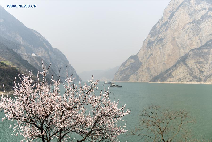 #CHINA-HUBEI-THREE GORGES-SCENERY (CN)