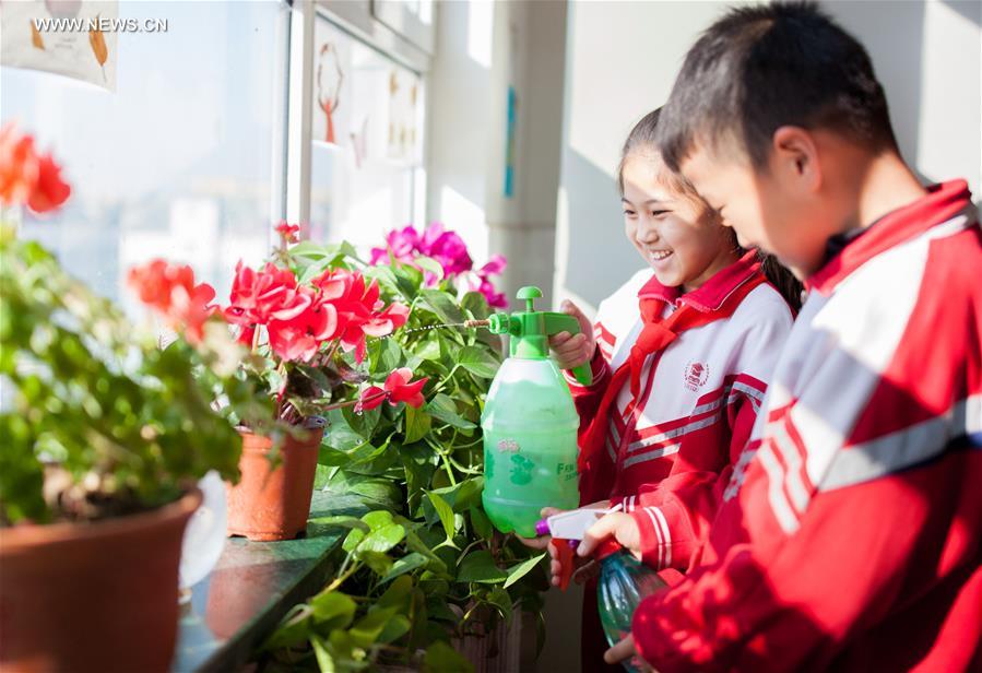 #CHINA-INNER MONGOLIA-CLASSROOM-PLANTS(CN)